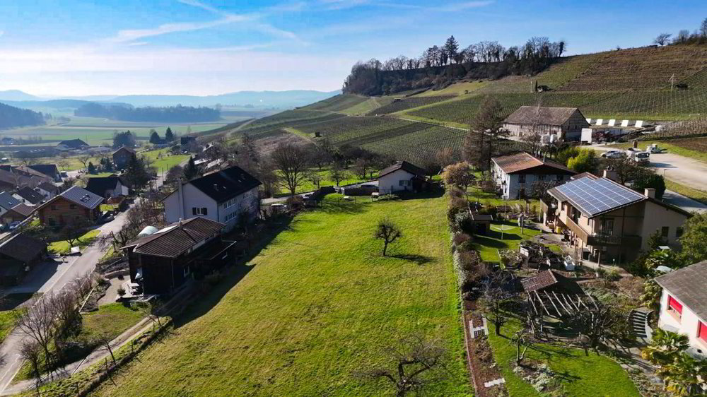 Terreno di null locali in vendita a Osterfingen - immagine 1/1