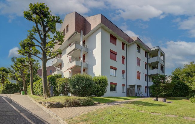 Appartamento di 1 locali in affitto a Wangen b. Olten - immagine 1/1