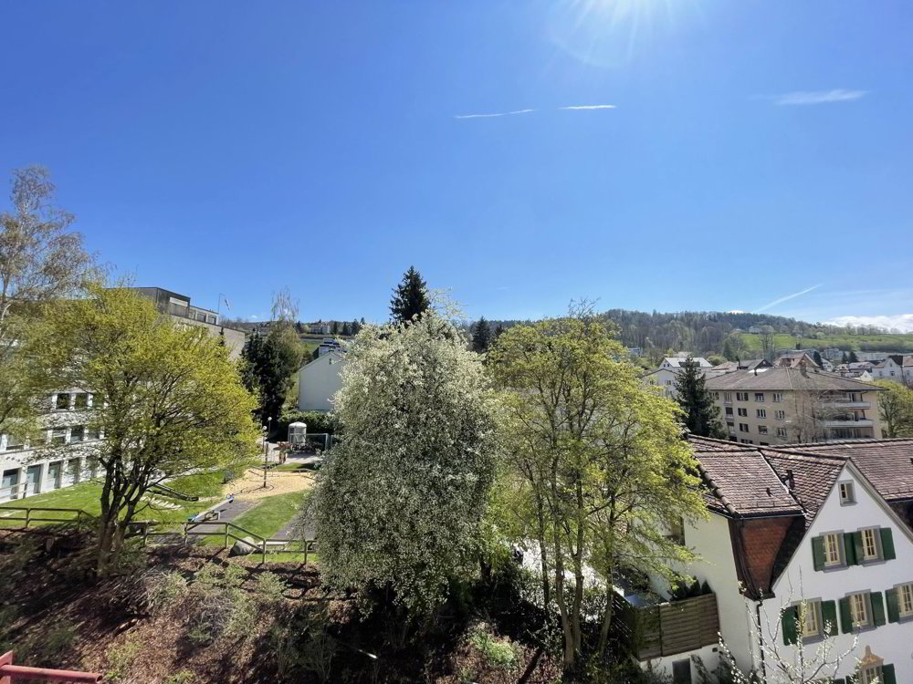 3 rooms Apartment for rent in St. Gallen - image 1/9