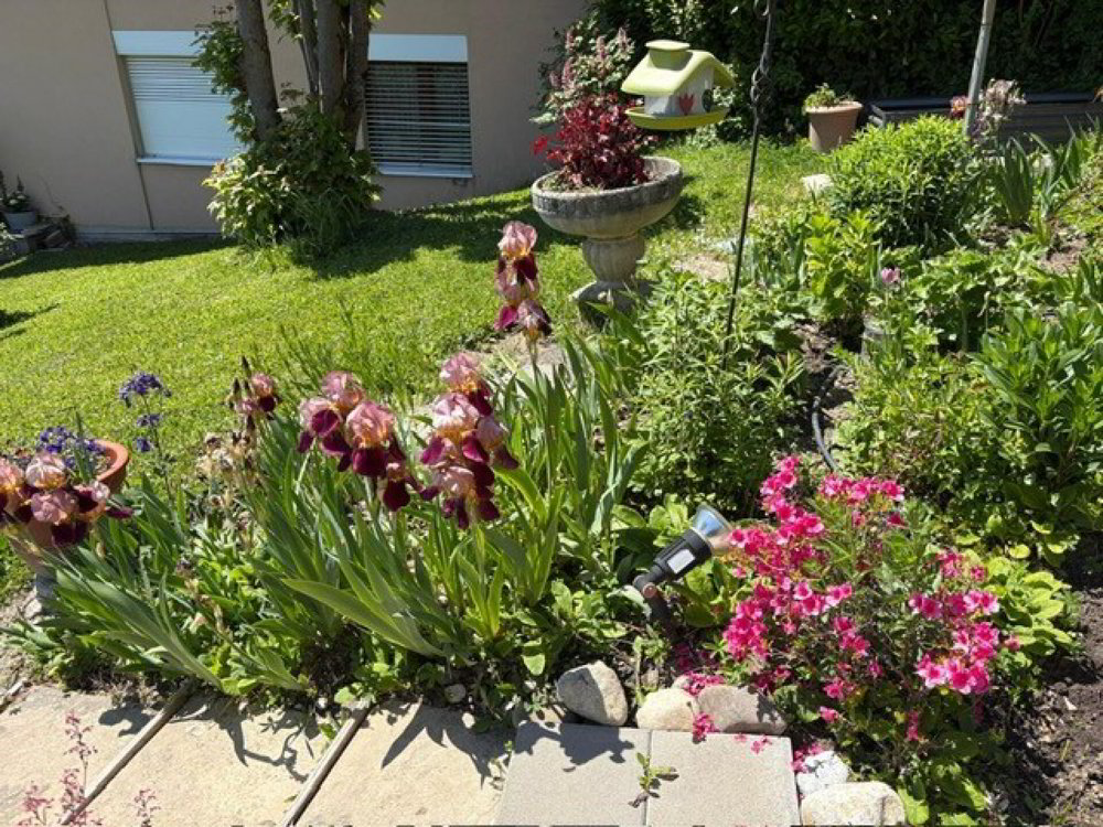 Appartamento di 4.5 locali in affitto a Belmont-sur-Lausanne - immagine 1/13