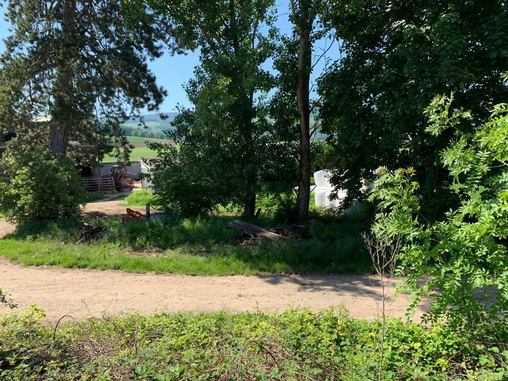 Terreno di null locali in vendita a Bassecourt - immagine 1/5