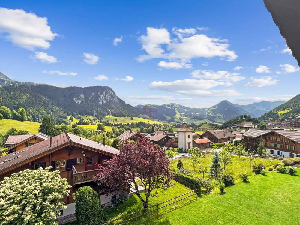 4 Zimmer Wohnung zum verkaufen in Château-d'Oex - Bild 1/9