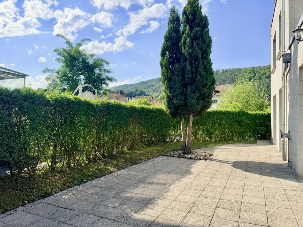 4.5 rooms Apartment to buy in Balsthal - image 1/16