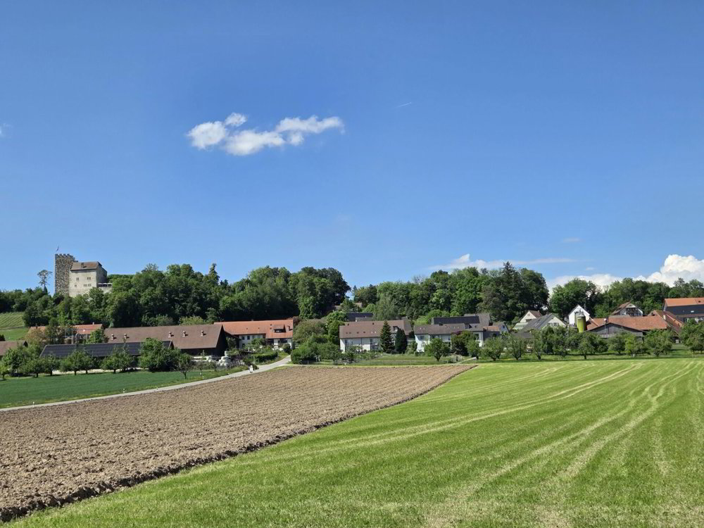 null rooms Land to buy in Habsburg - image 1/4