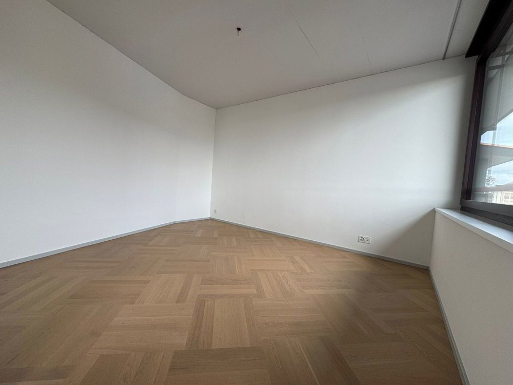 3.5 rooms Apartment for rent in Dietikon - image 1/12