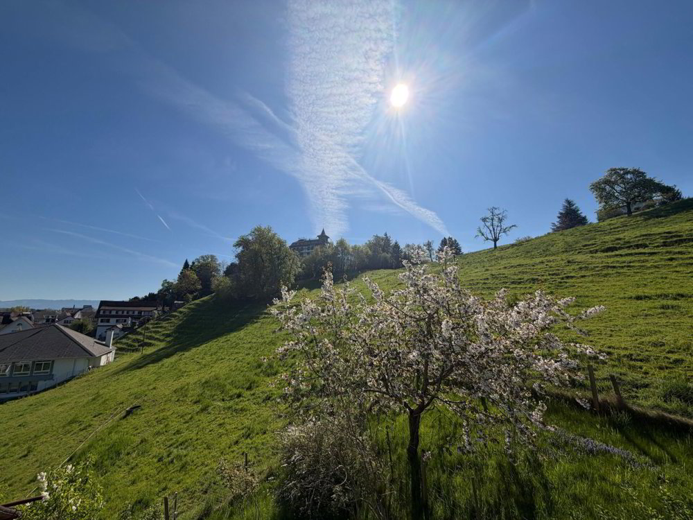 Appartamento di 7 locali in affitto a Rheineck - immagine 1/8