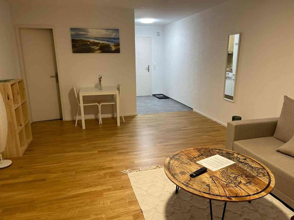 Appartement 1.5 pièces à louer à Rheineck - image 1/6