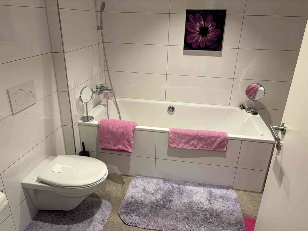 Appartement 4.5 pièces à louer à Menziken - image 1/13