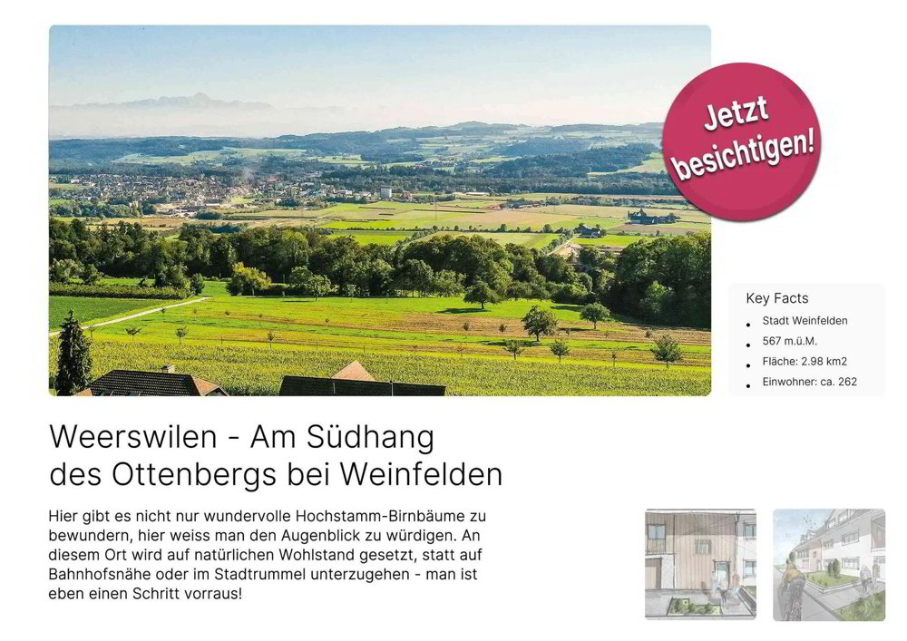 4.5 Zimmer Wohnung zum verkaufen in Weinfelden - Bild 1/8