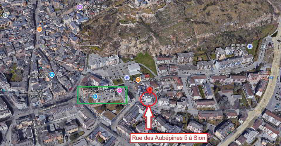 Ufficio & Commercio di null locali in affitto a Sion - immagine 1/12