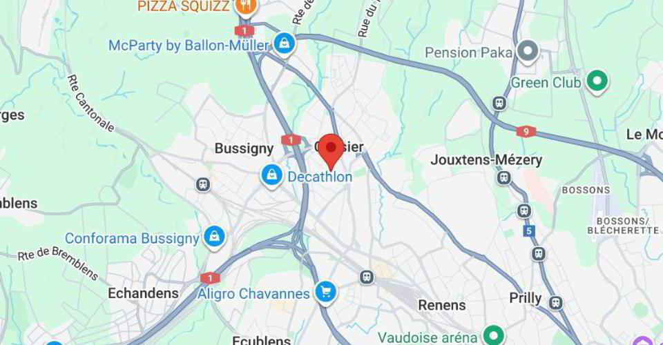 null rooms Office & Commercial for rent in Crissier - image 1/8