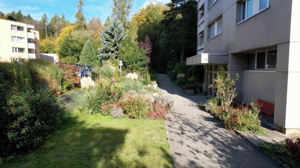 Appartamento di 2.5 locali in affitto a Olten - immagine 1/9