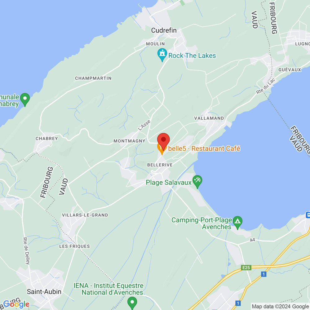 4 rooms Apartment for rent in Bellerive VD - image 1/8