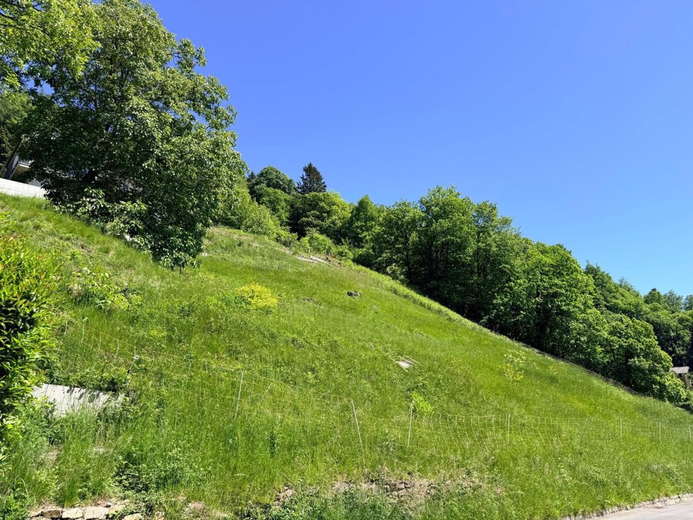 TERRENO EDIFICABILE DI 1237 MQ CON VISTA PANORAMICA - ARANNO - Ansicht 2
