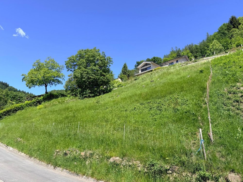 TERRENO EDIFICABILE DI 1237 MQ CON VISTA PANORAMICA - ARANNO - Ansicht 3