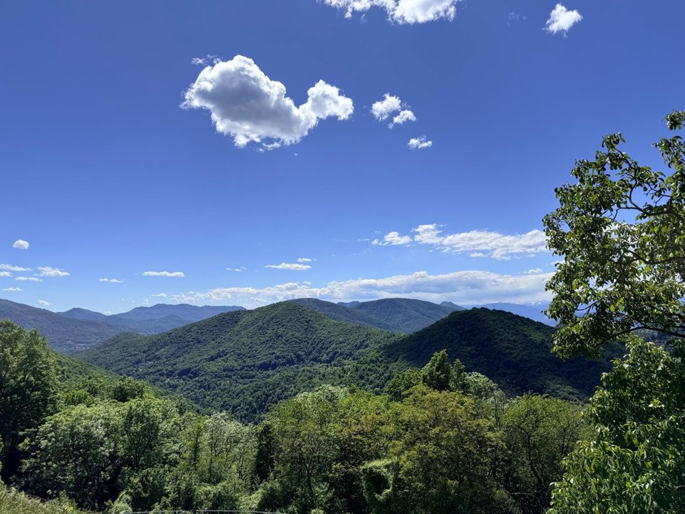 TERRENO EDIFICABILE DI 1237 MQ CON VISTA PANORAMICA - ARANNO - Ansicht 4