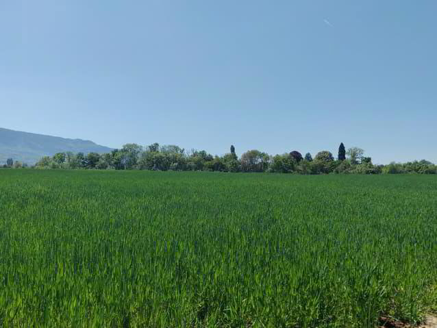 Appartamento di 5 locali in vendita a Plan-les-Ouates - immagine 1/1