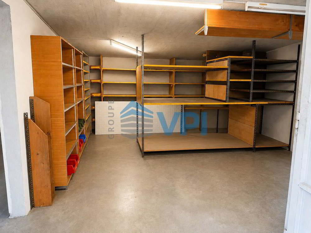 Bureau & Commerce null pièces à louer à Châtelaine - image 1/6