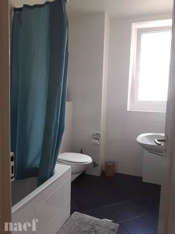 Appartement 5.5 pièces à louer à Neuenburg - image 1/8