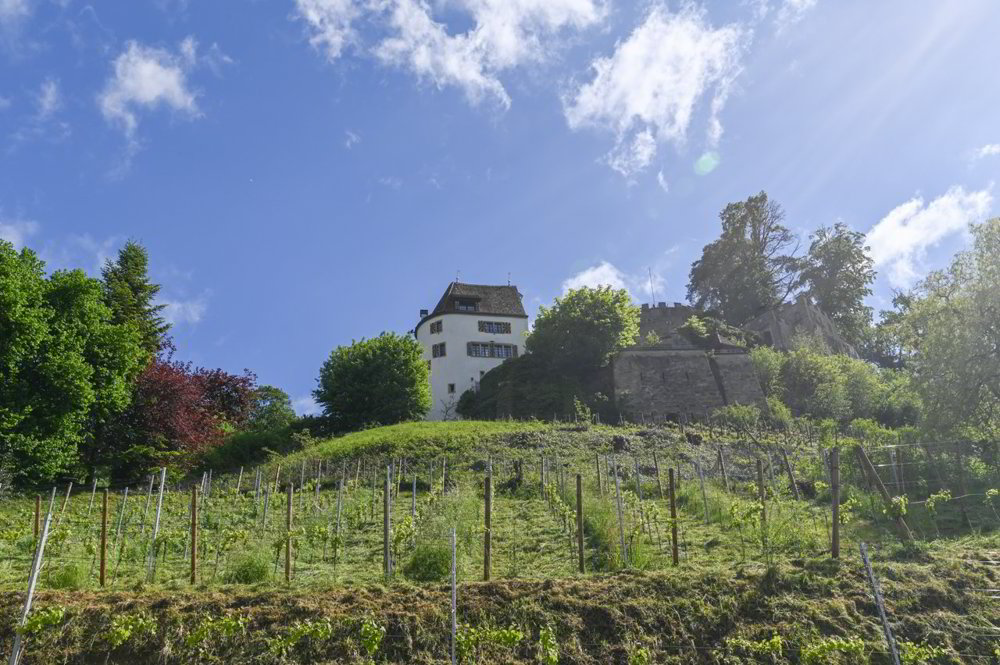 Maison 5.5 pièces à acheter à Teufenthal AG - image 1/14