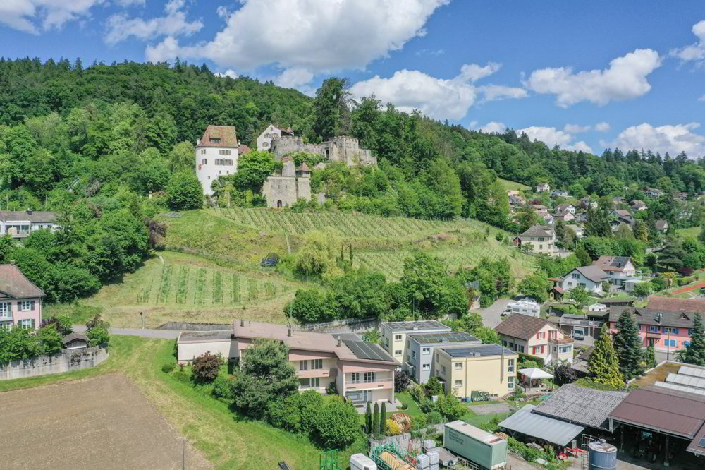Haus zum Verlieben am Fuss der Trostburg mit PV-Anlage und Wärme-Pumpe - Ansicht 3