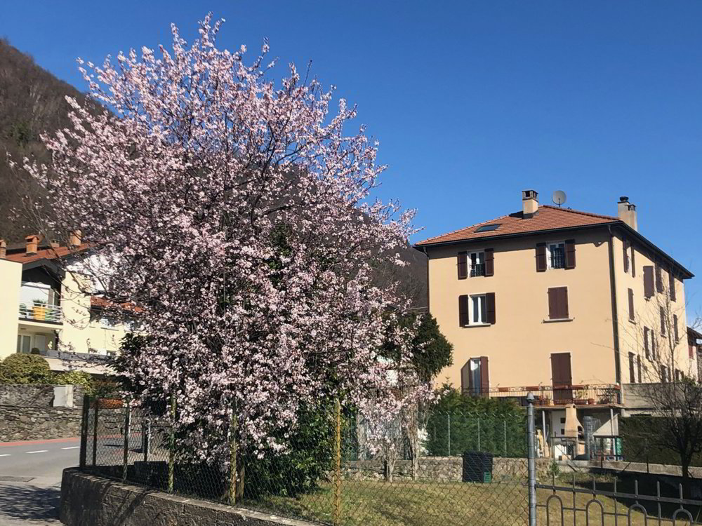 Appartamento di 4.5 locali in vendita a Bedano - immagine 1/9