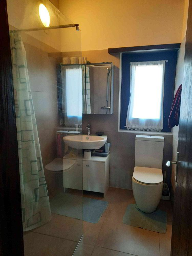 Casa di 8.5 locali in vendita a Manno - immagine 1/13