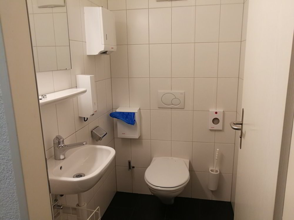 Ufficio & Commercio di null locali in affitto a Lausen - immagine 1/10