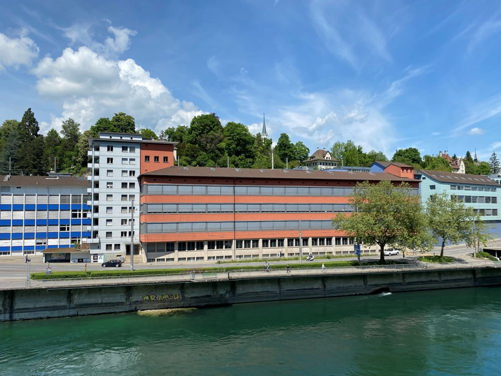 Ufficio & Commercio di null locali in affitto a Schaffhouse - immagine 1/9