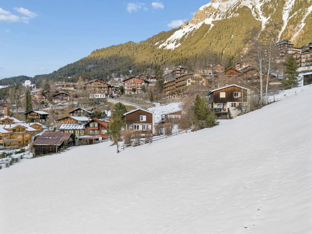 Ufficio & Commercio di null locali in vendita a Wengen - immagine 1/13