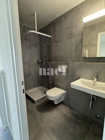 Appartamento di 1.5 locali in affitto a Renens VD - immagine 1/6