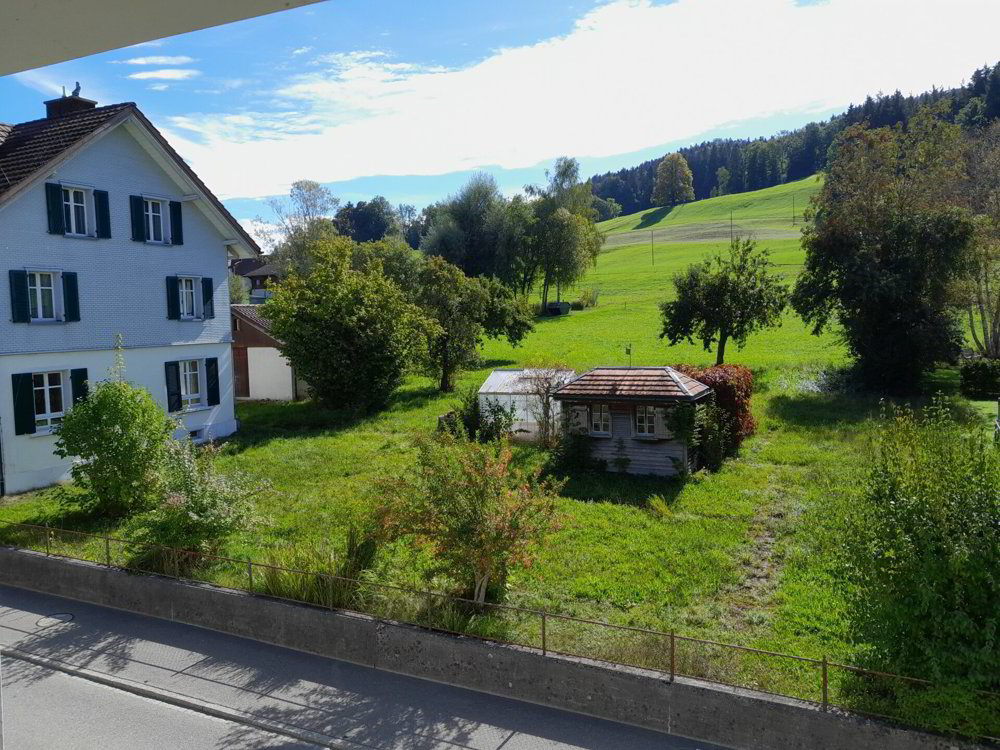 Appartement 4.5 pièces à acheter à Ganterschwil - image 1/8