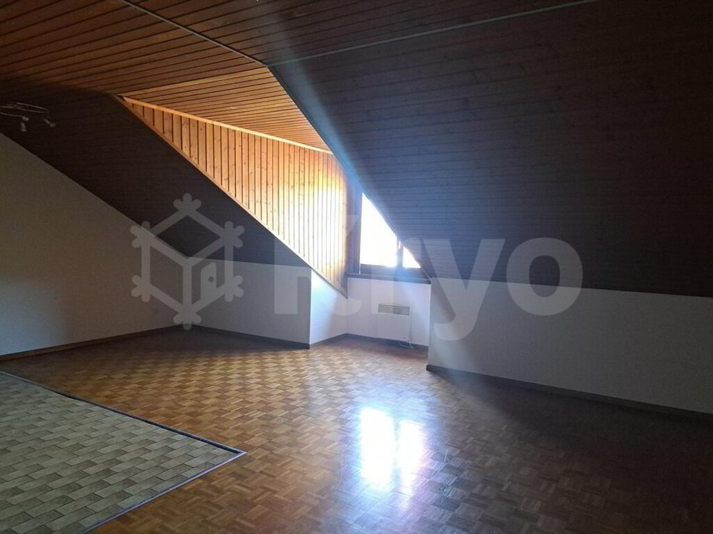 Appartamento di 1 locali in affitto a Givisiez - immagine 1/5