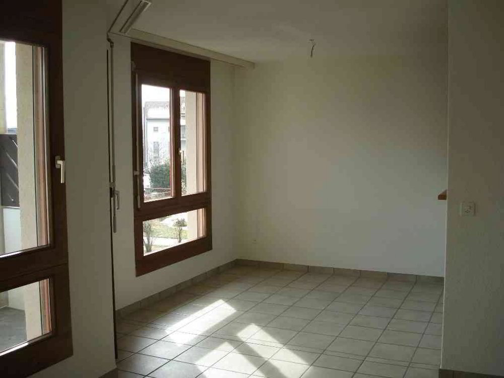 Appartamento di 4.5 locali in affitto a Oensingen - immagine 1/13