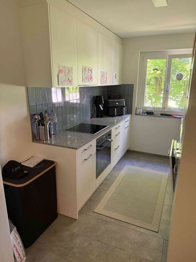 4.5 rooms Apartment for rent in Winterthur - image 1/13