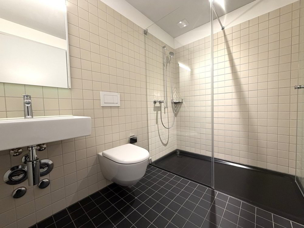 1 rooms Apartment for rent in Zürich - image 1/3