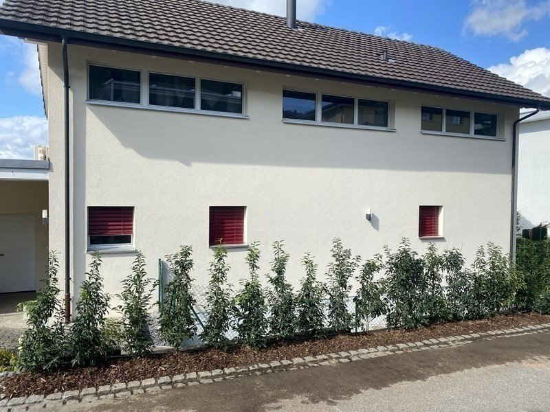 Appartement 1 pièces à louer à Remetschwil - image 1/10