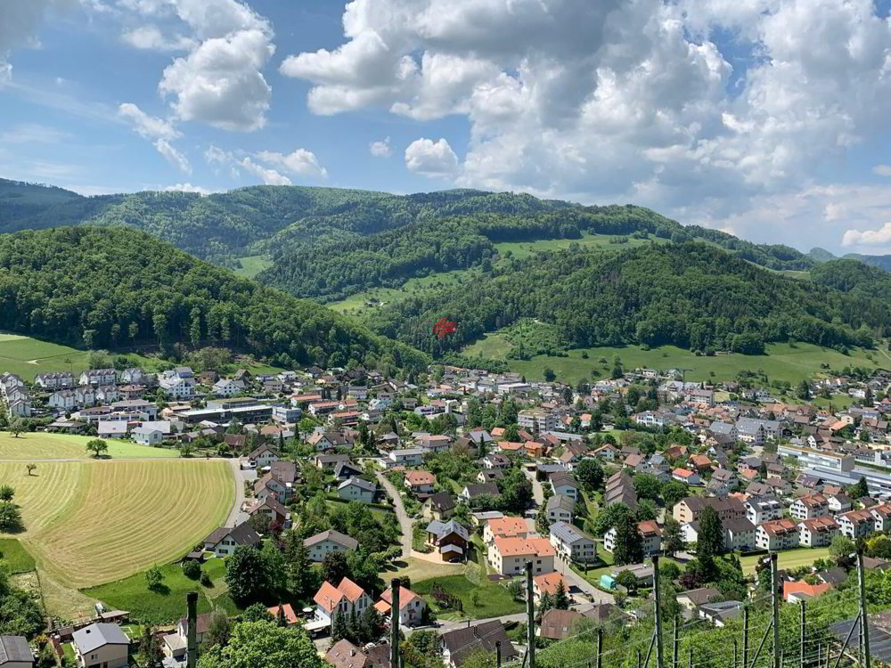 null Zimmer Büro zum verkaufen in Oberdorf BL - Bild 1/1