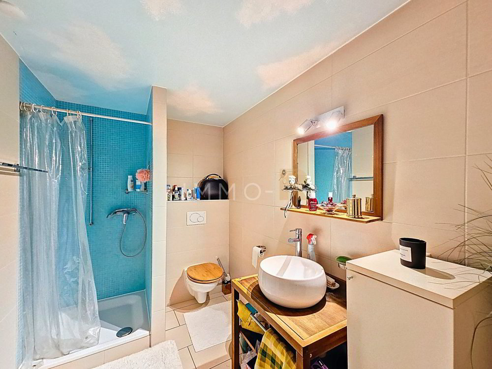 Appartement 5.5 pièces à acheter à Châtel-St-Denis - image 1/11