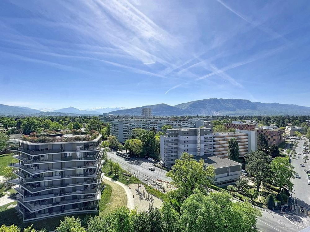 4 Zimmer Wohnung zu vermieten in Cologny - Bild 1/13