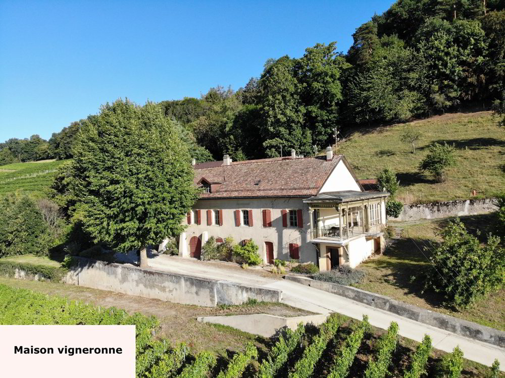 Terreno di 26 locali in vendita a Luins - immagine 1/9