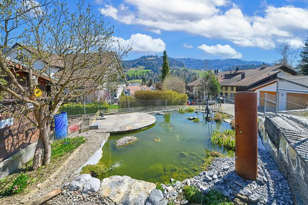 6 rooms House to buy in Gibswil - image 1/13