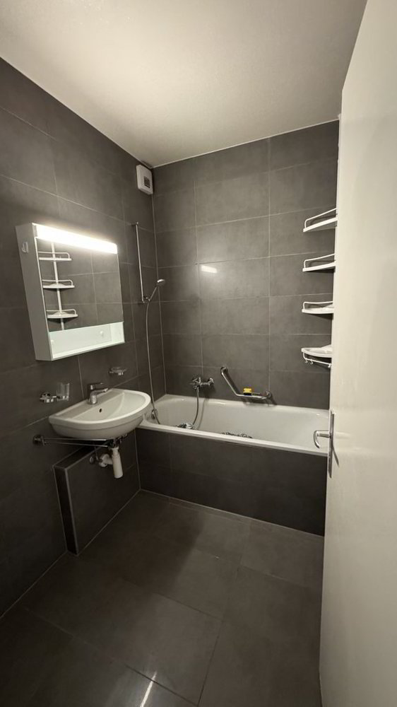 Appartement 4 pièces à louer à Meyrin - image 1/7