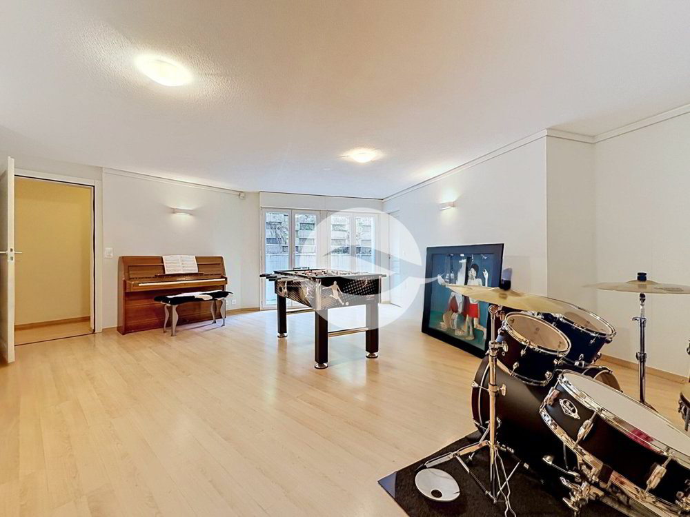 10.5 rooms House for rent in Coppet - image 1/20