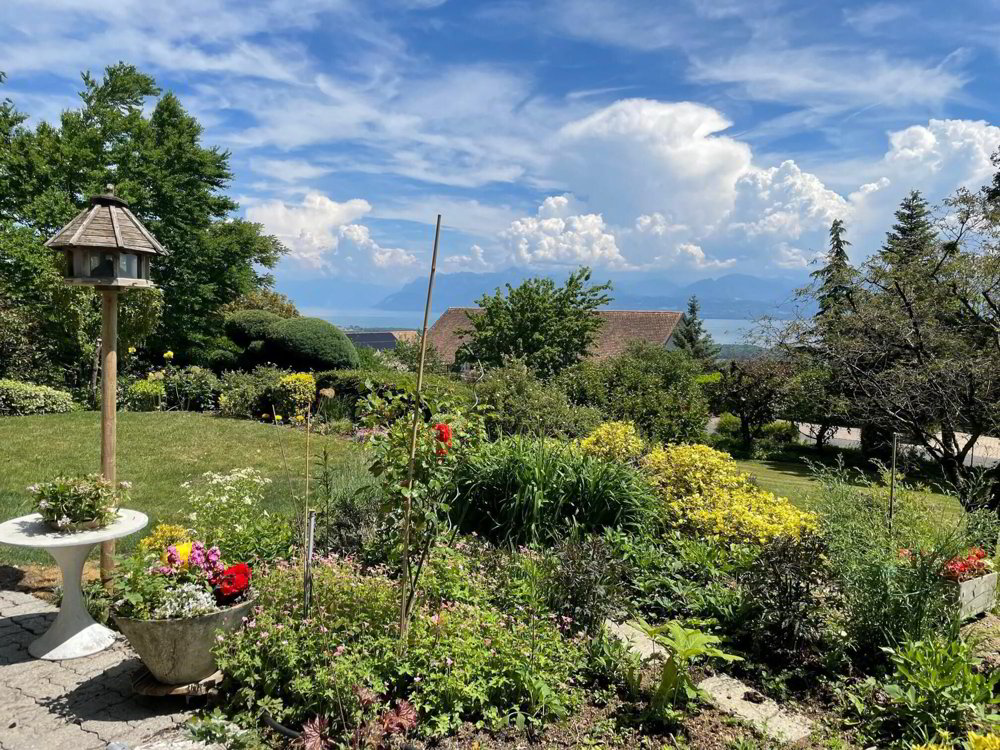 7 rooms House to buy in Rolle - image 1/19