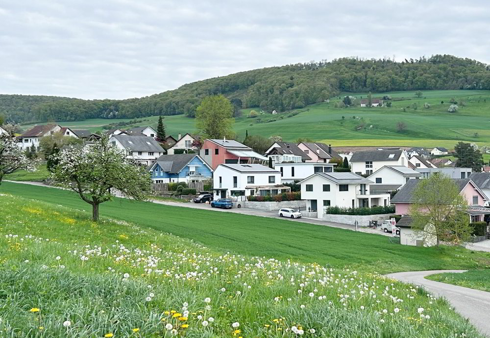 Maison 4.5 pièces à acheter à Lupsingen - image 1/14