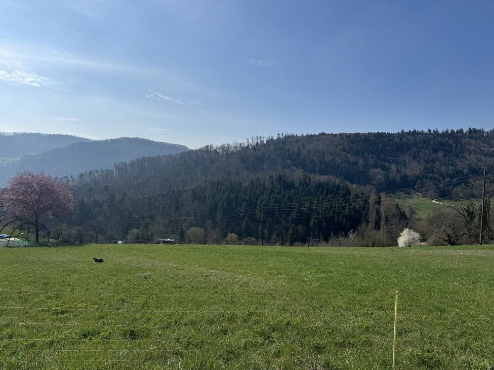 null Zimmer Büro zum verkaufen in Liesberg Dorf - Bild 1/2
