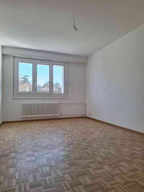2.5 Zimmer Wohnung zu vermieten in Le Grand-Saconnex - Bild 1/3