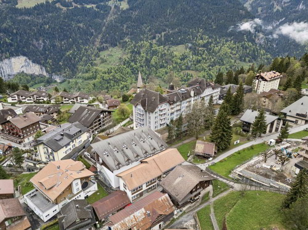 null rooms Office & Commercial to buy in Wengen - image 1/13