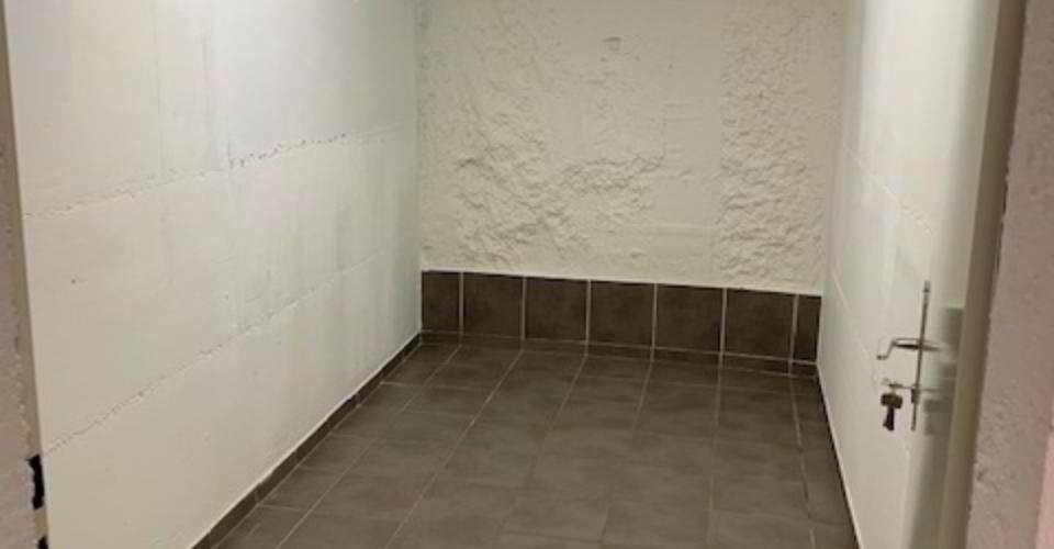 Ufficio & Commercio di null locali in affitto a Chêne-Bourg - immagine 1/2